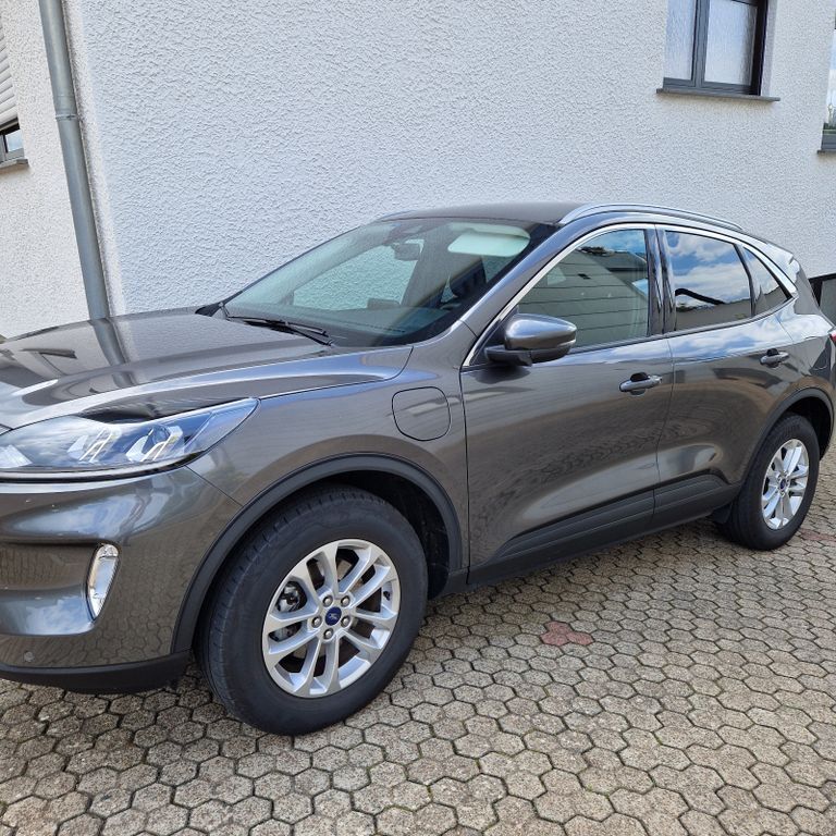 Kuga