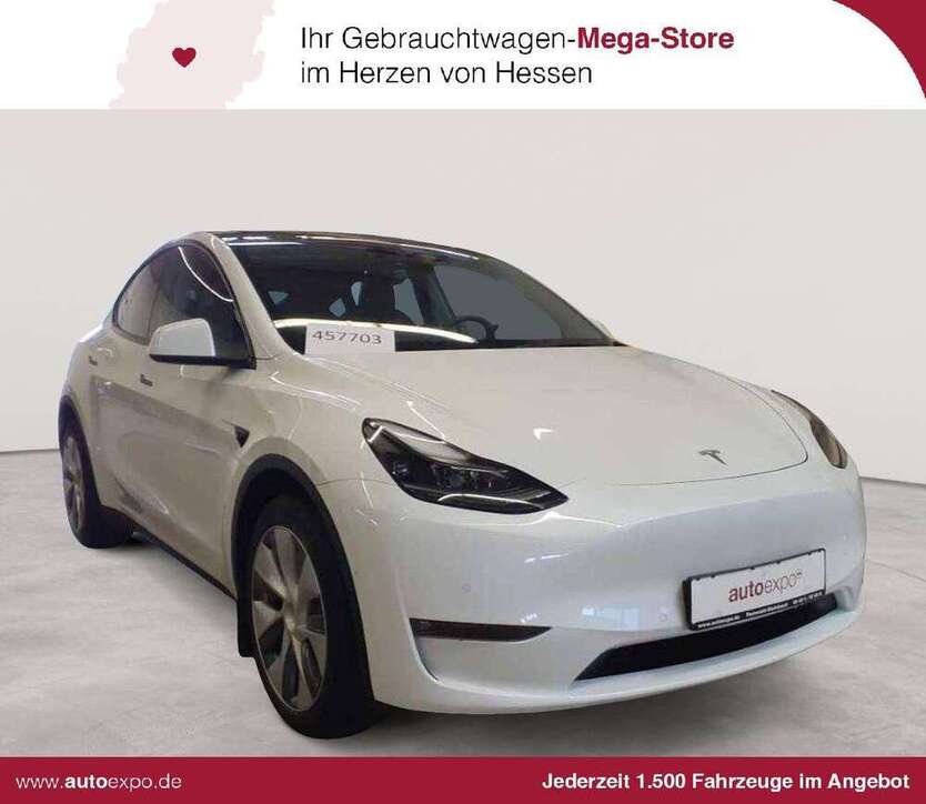 Model Y