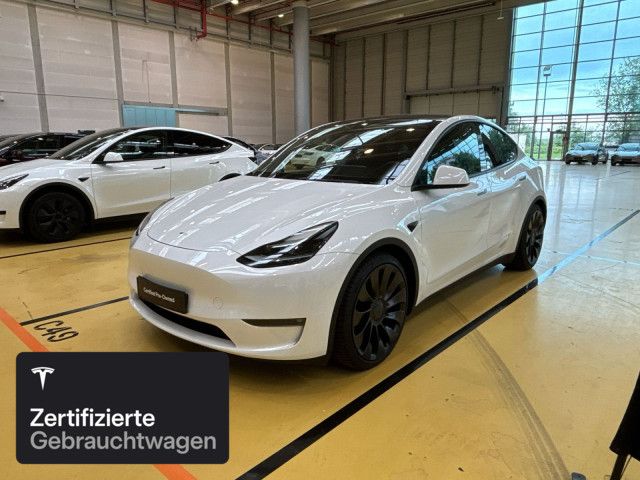 Model Y