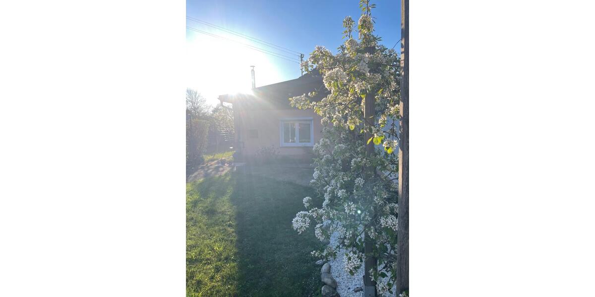 Etagenwohnung Wadern - 3 Zimmer, 85 m&sup2;, 850&euro; | Angebot:26413213