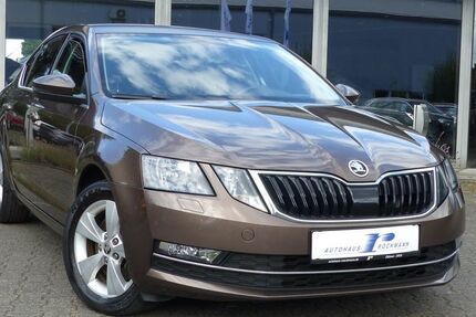 Skoda Octavia 92.324 km 18.490 &euro; Dülmen 48249