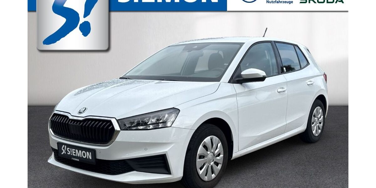 Skoda Fabia 72.590 km 16.930 &euro; Emsdetten 48282
