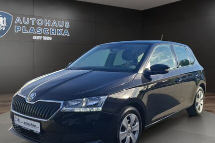 Skoda Fabia 35.500 km 11.950 € Amelinghausen 21385