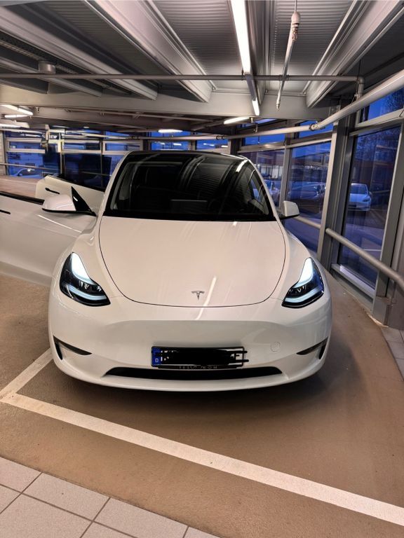 Model Y