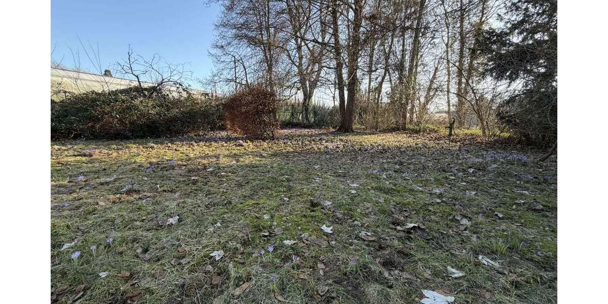 Grundstück Tornesch - 249.000&euro; | Angebot:25393631