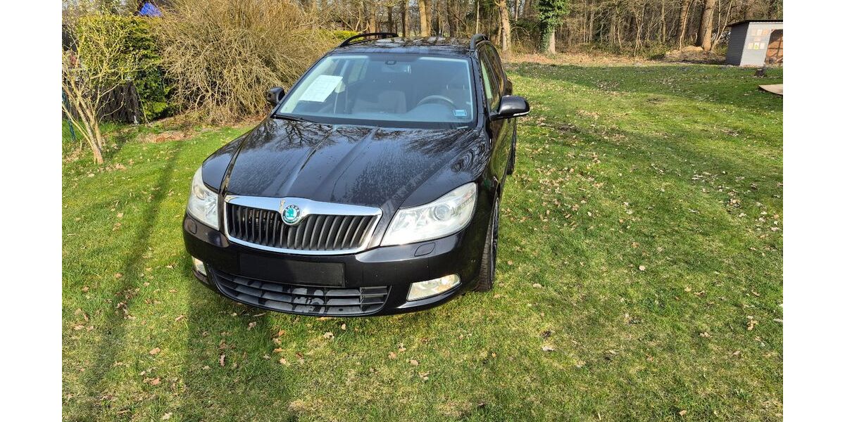 Skoda Octavia 276.789 km 2.300 &euro; Ostereistedt - Rockstedt 27404