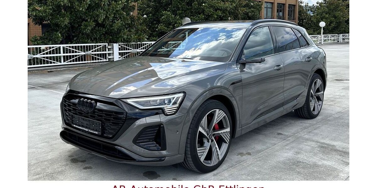 Audi Q8 e-tron 52.852 km 46.900 &euro; Ettlingen 76275