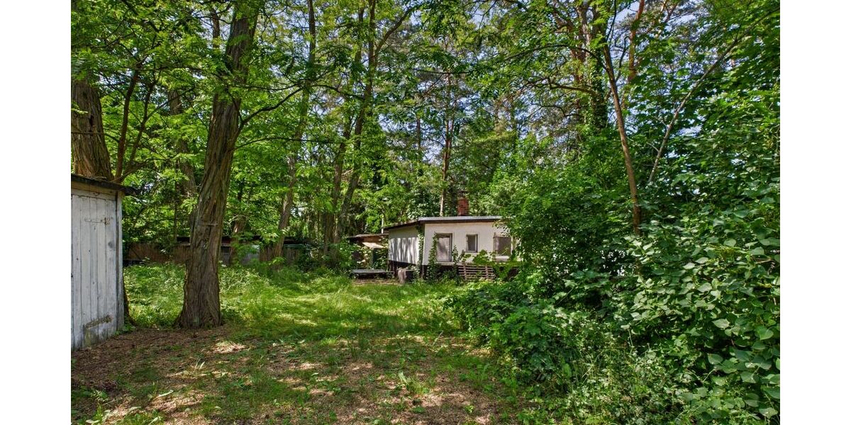 Wochenendgrundstück mit direktem Seezugang - am Elsensee in Grünheide (Mark) - Bungalow Grünheide (Mark) | Angebot:21717230