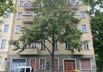 Wohnung zum Mieten in Berlin 900 € 48.5 m²