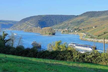 Grundstück Trechtingshausen - 220.000&euro; | Angebot:18043892