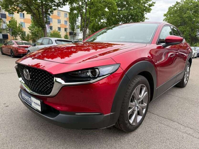 CX-30