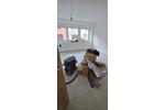 Erdgeschoßwohnung Mehring - 3 Zimmer, 89 m&sup2;, 980&euro; | Angebot:26357991