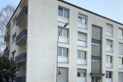 Haus zum Mieten in Offenbach am Main 5.000 € 295 m² 8 zimmer