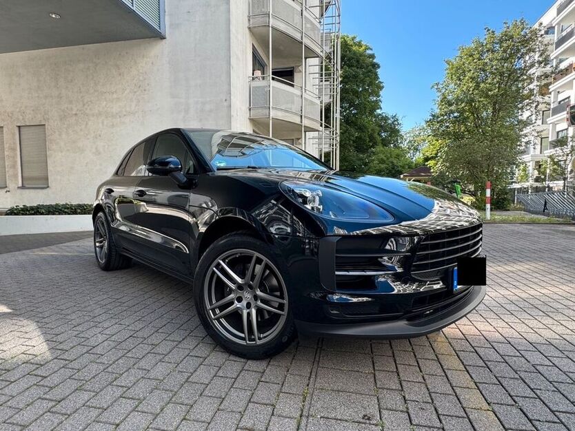 Macan