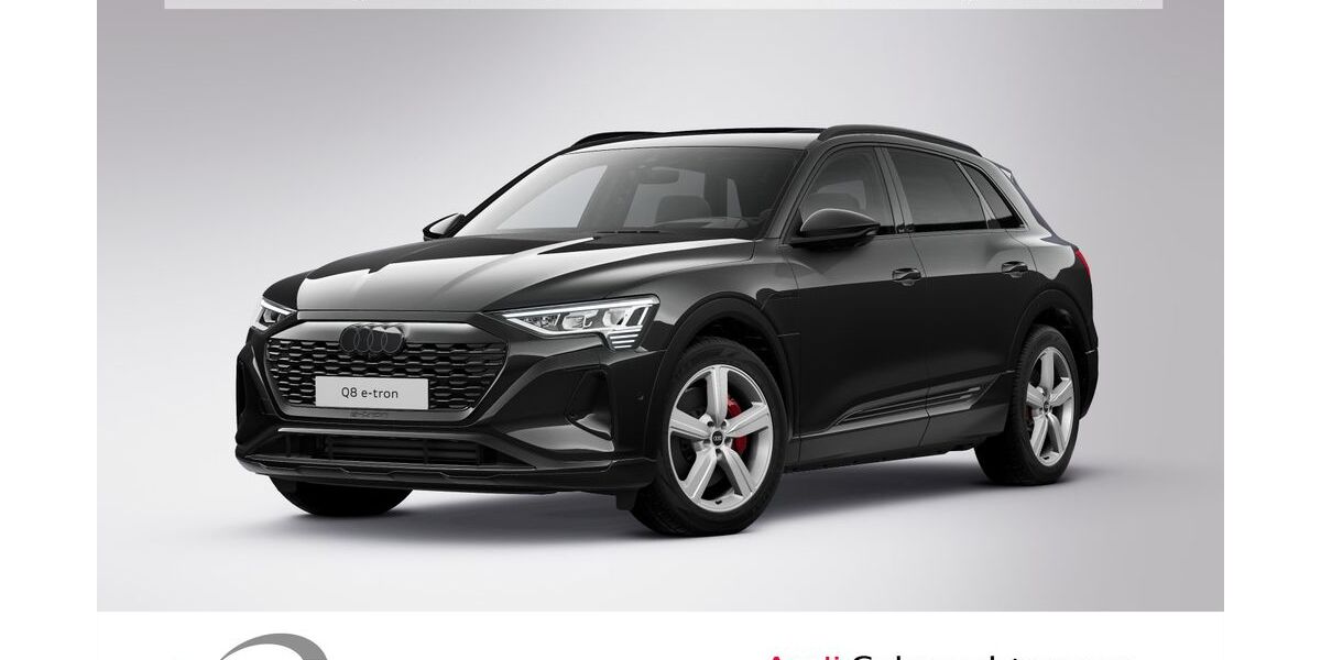 Audi Q8 e-tron 29.629 km 58.900 &euro; Ludwigshafen 67063