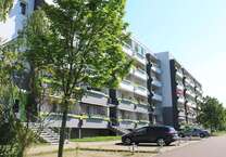 Wohnung zum Mieten in Halle 268 € 36.1 m²
