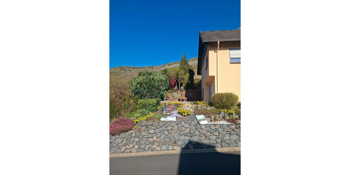 Erdgeschoßwohnung Klotten - 1 Zimmer, 45 m&sup2;, 420&euro; | Angebot:26002936