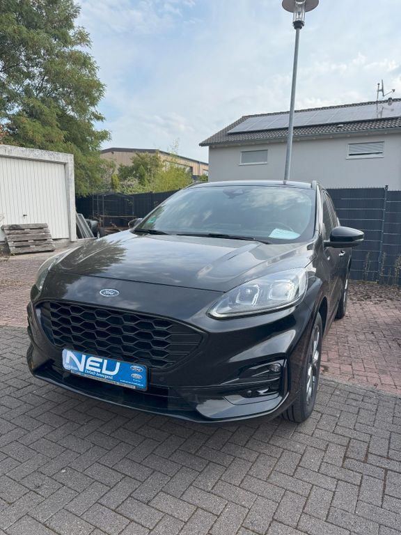 Kuga