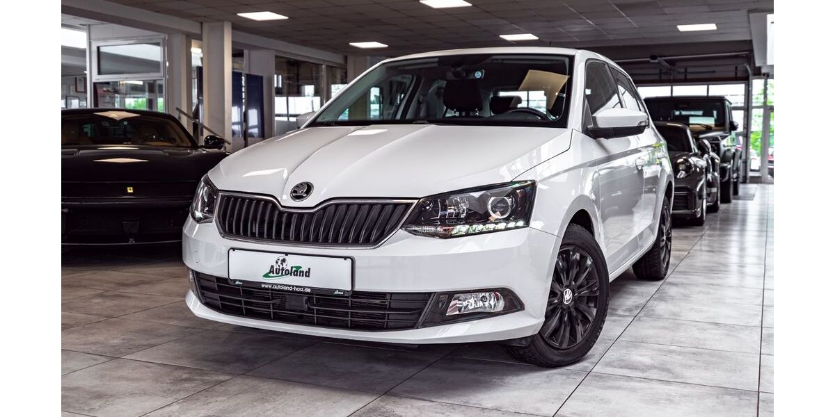 Skoda Fabia 54.950 km 12.990 &euro; Wernigerode 38855