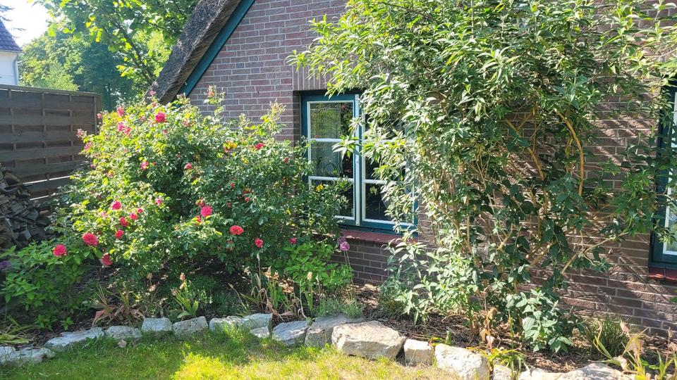 Einfamilienhaus Schwanewede - 7 Zimmer, 208 m&sup2;, 499.000&euro; | Angebot:27231452