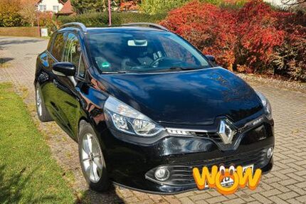 Renault Clio 51.000 km 8.800 € Müllrose 15299