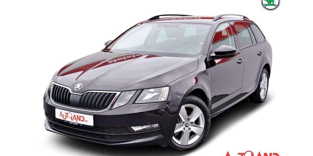 Skoda Octavia 49.563 km 20.890 &euro; Leipzig 04209