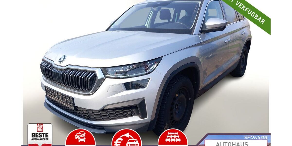 Skoda Kodiaq 30.550 km 33.488 &euro; Kehl 77694