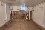 Helles Einfamilienhaus mit Potential nahe idyllischer Weinstraße und gefragter Metropolregion
