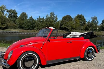 VW Käfer 2.600 km 29.800 &euro; Biblis 68647