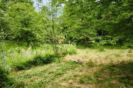 Grundstück Auenwald - 100&euro; | Angebot:26394229