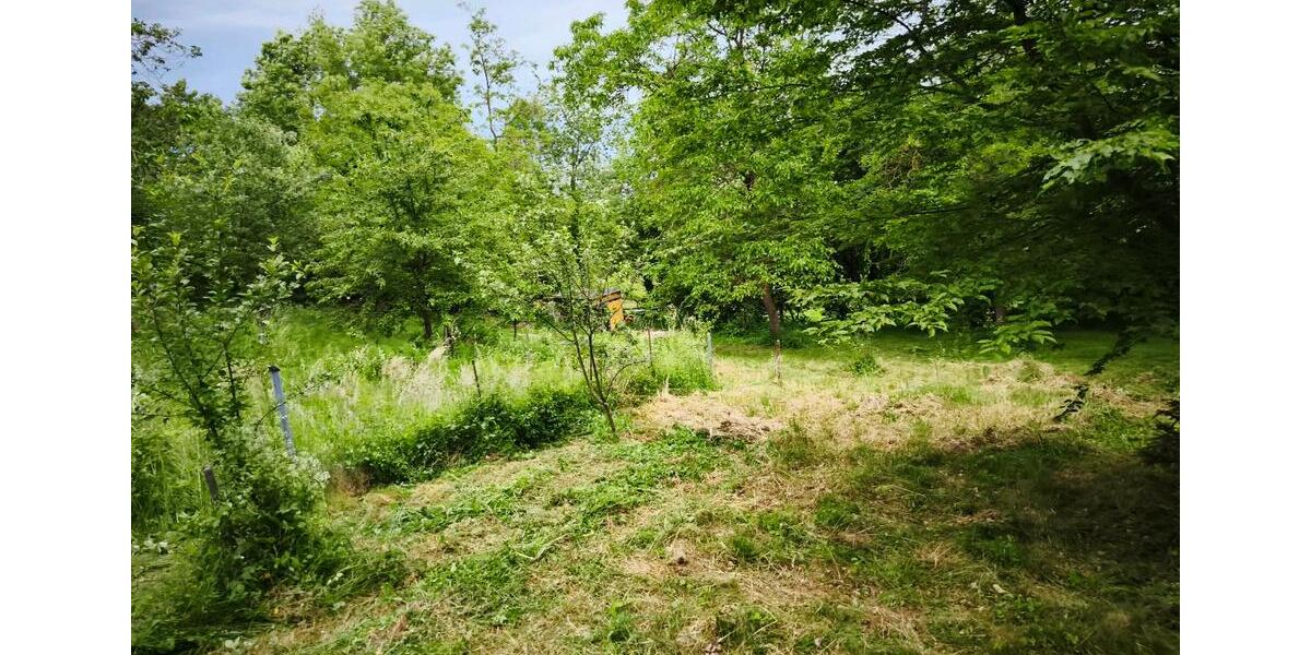 Grundstück Auenwald - 100&euro; | Angebot:26394229