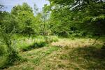 Grundstück Auenwald - 100&euro; | Angebot:26394229