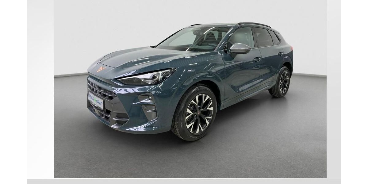 Cupra Terramar 15.000 km 39.480 &euro; Fürth 90763