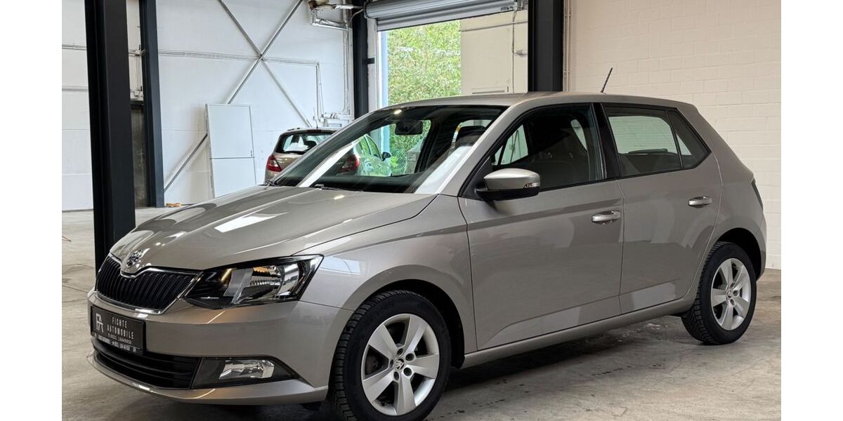 Skoda Fabia 110.879 km 9.990 &euro; Bielefeld 33649