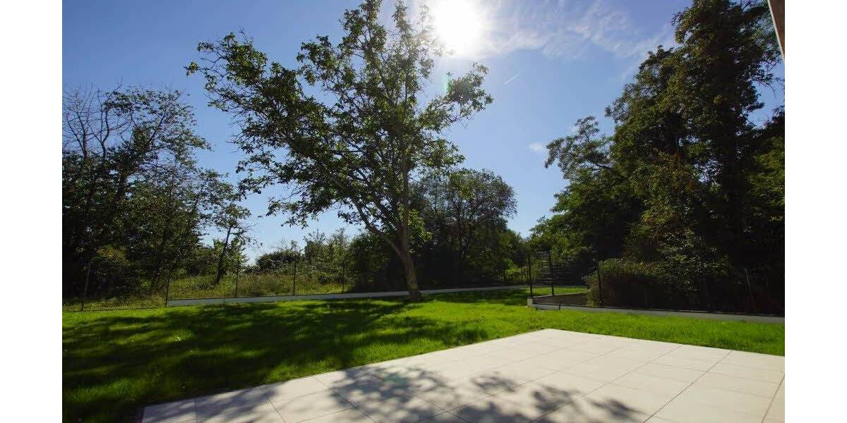 Halle-Dölau: 7.585 qm Naturgrundstück mit 2 fertigen Einfamilien-Architektenhäusern 9 zimmer