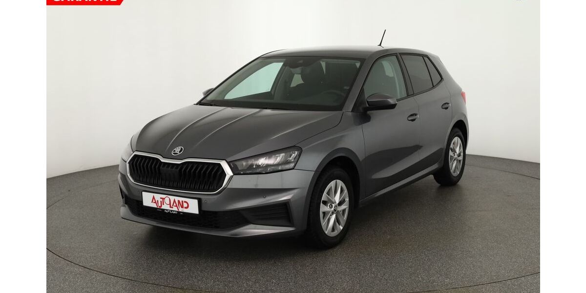 Skoda Fabia 69.662 km 18.490 € Gotha 99867