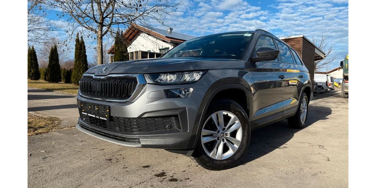 Skoda Kodiaq 82.750 km 28.990 &euro; Seeg 87637