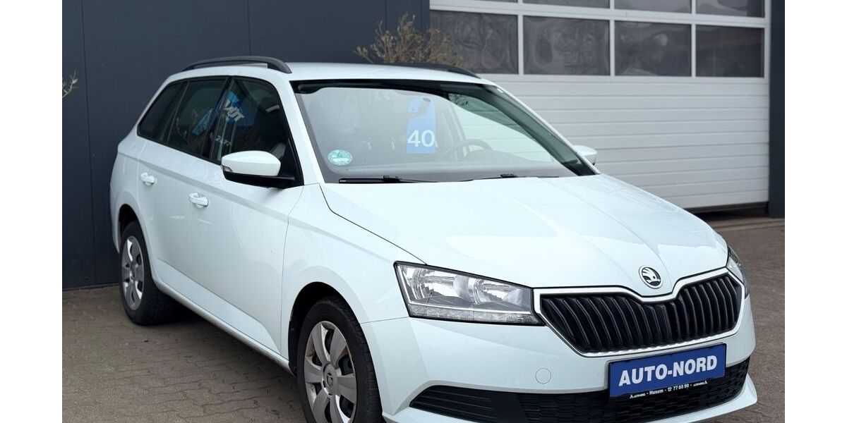 Skoda Fabia 90.173 km 8.990 &euro; Husum 25813