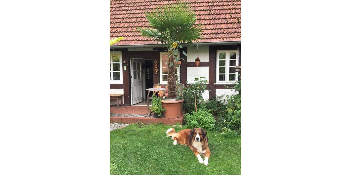 Bauernhaus, Landhaus Neuenkirchen - 10 Zimmer, 450 m&sup2;, 529.000&euro; | Angebot:26802144