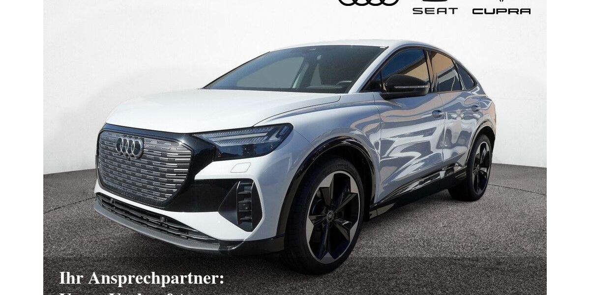 Audi Q4 e-tron 46.450 km 50.000 &euro; Bietigheim-Bissingen 74321