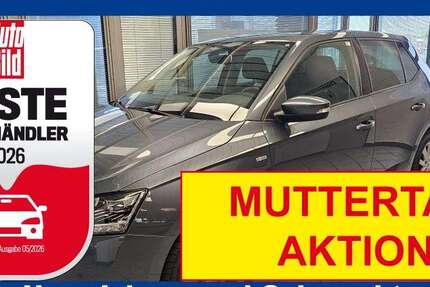 Skoda Fabia 75.000 km 12.350 &euro; Wolfsburg Heiligendorf 38444