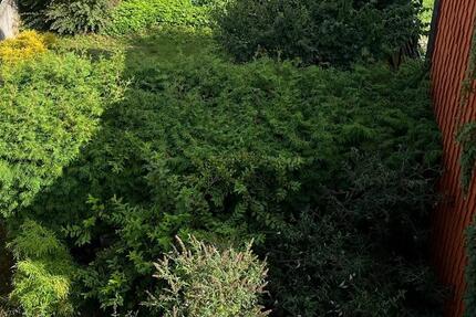 3-Zimmerwohnung mit Loggia +Tiefgaragenstellplatz,Innenstadt zimmer