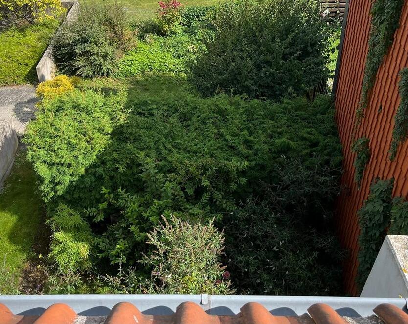 3-Zimmerwohnung mit Loggia +Tiefgaragenstellplatz,Innenstadt zimmer