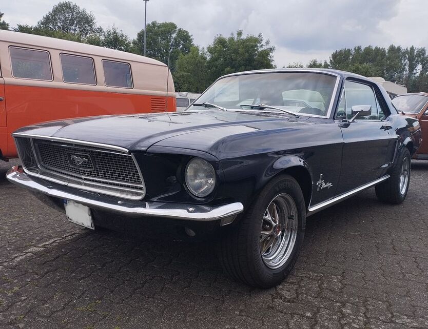 Mustang