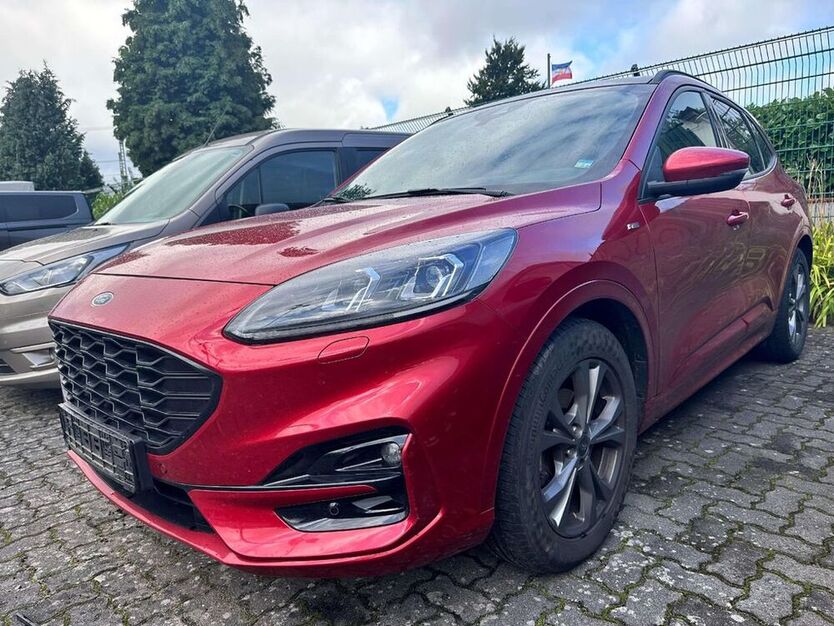 Kuga