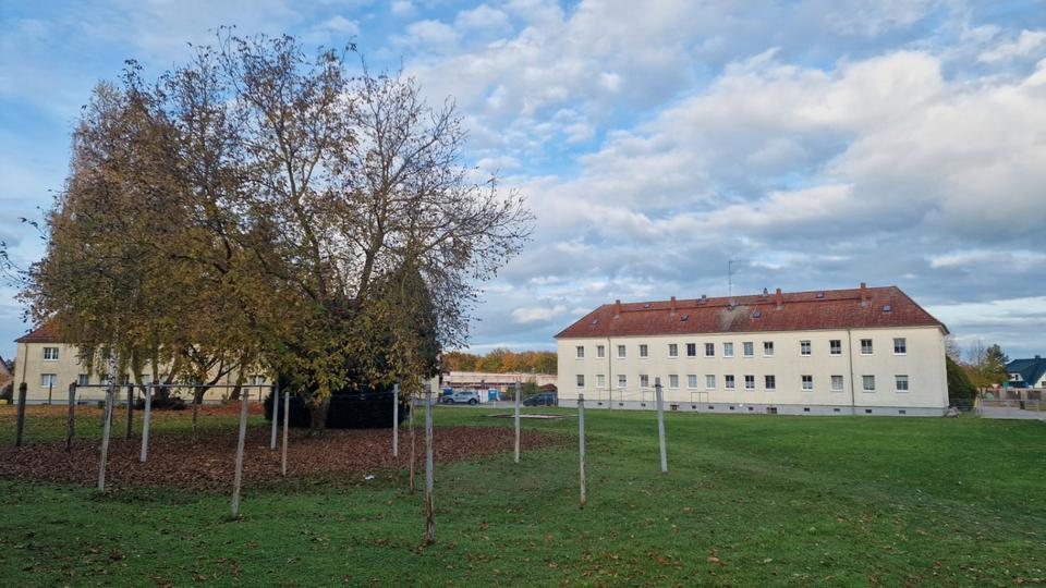 Hochparterre Fehrbellin - 3 Zimmer, 65 m&sup2;, 550&euro; | Angebot:26687897