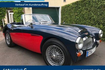 Austin Healey Andere
