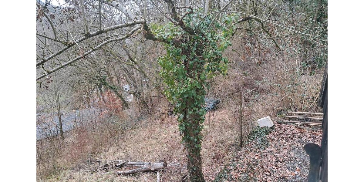 Waldhaus, TinyHaus, Wochenend Ferienhaus, kein fester Wohnsitz 1 zimmer