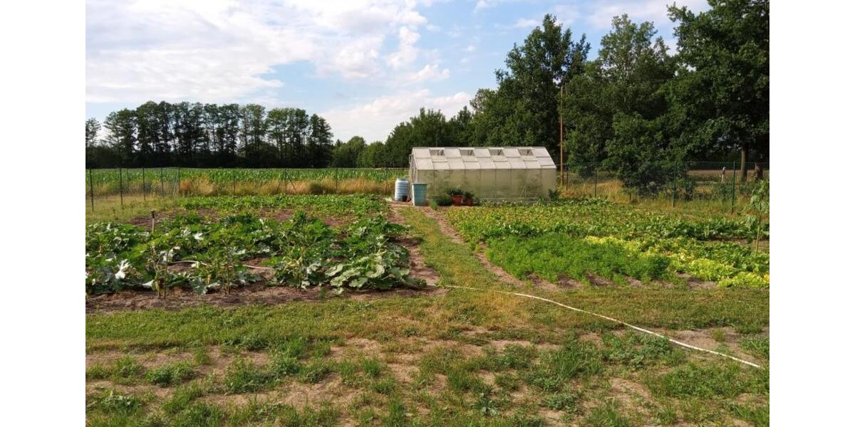 Biete Wohnen gegen HandHilfe auf Tierhof im Süden Meckl. Vorpom. 1 zimmer