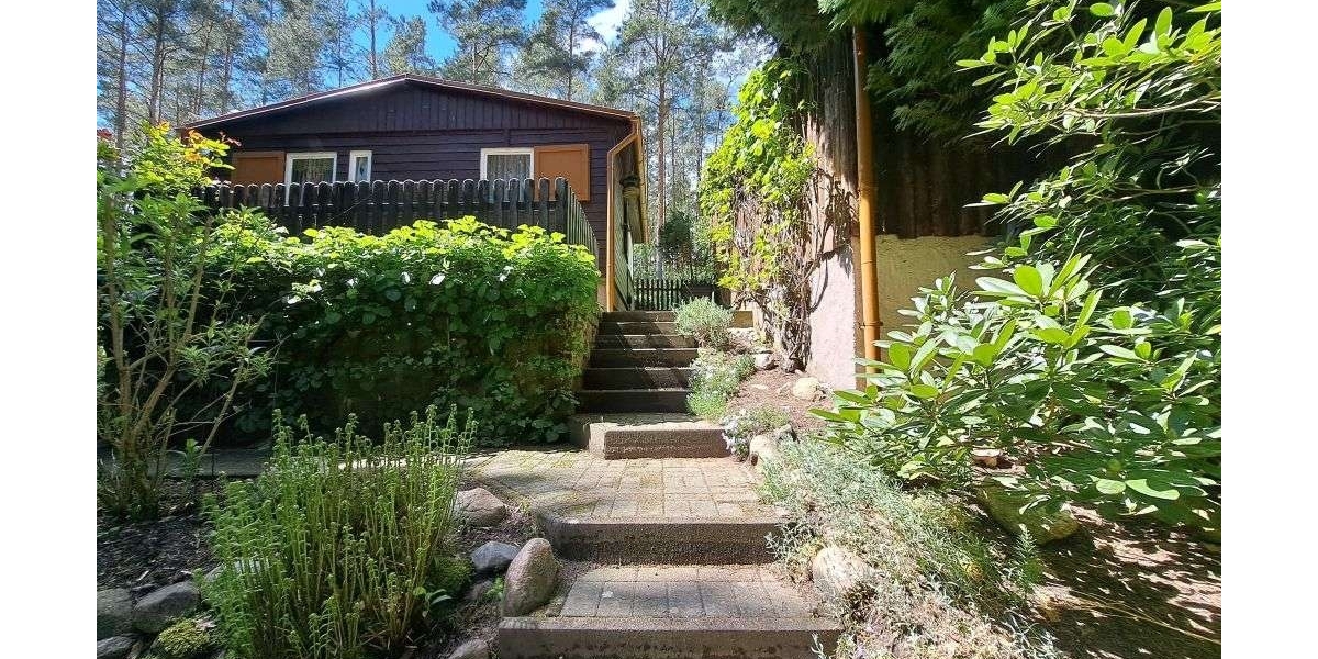 Sommer 2026 im eigenen Freizeitbungalow in ruhiger, idyllischer Waldlage von Coswig Möllensdorf - Ferienhaus Coswig (Anhalt) | Angebot:27016614